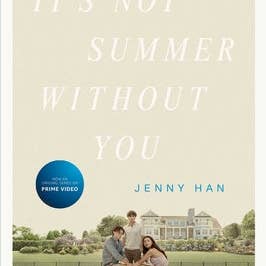 Books by splitShops - Wholesale Book - Adult - It's Not Summer Without You - Paperback