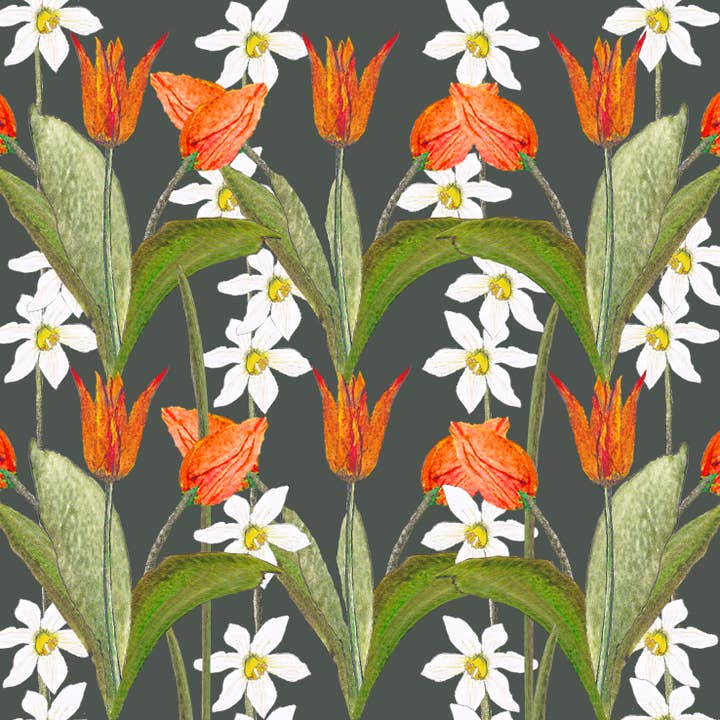Tulipes et Narcisses Salutation de Printemps - Fond Gris Acier pour la vente par Tatty Co Ltd