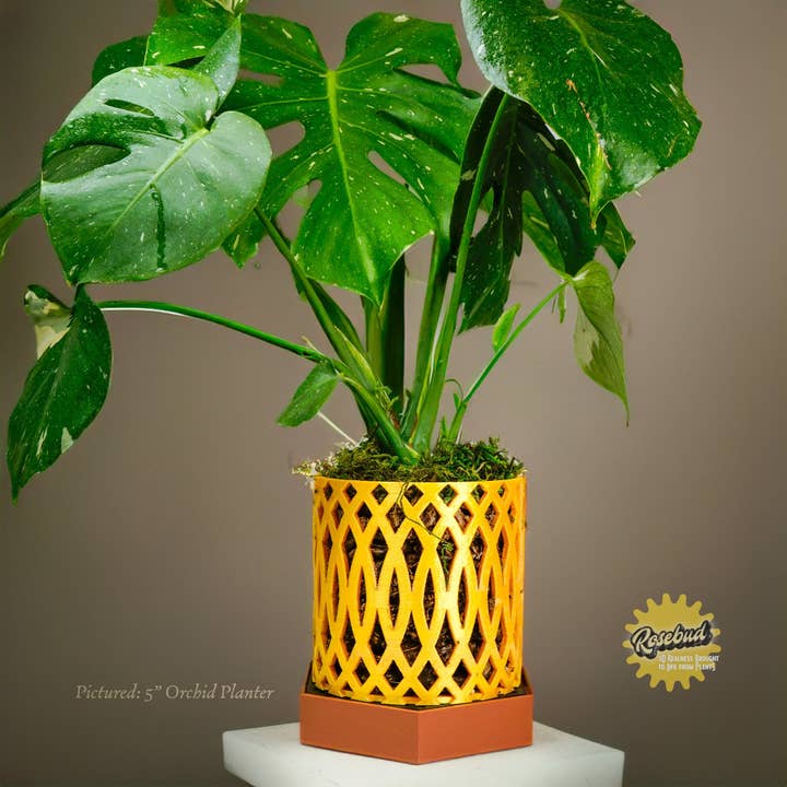 Rosebud Homegoods - Wholesale Garden Tool - Water Humidity Tray for Houseplants and Garden, 3D Printed Planter Accessories, Garden Gifts, Alocasia and Humid Loving Plants, Gifts For1