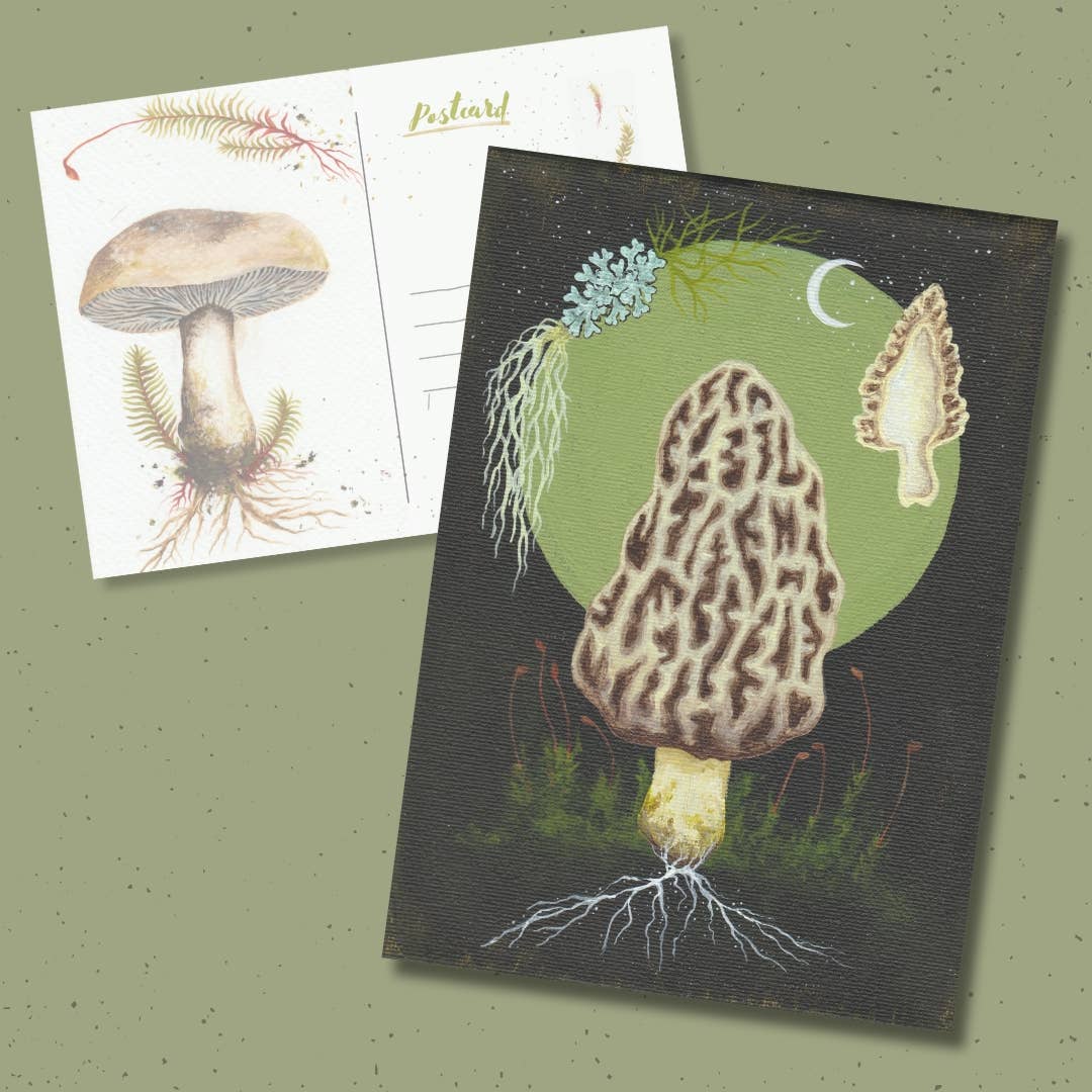 Up Moss Creek Studio - Wholesale Postcard - Morel Postcard 6