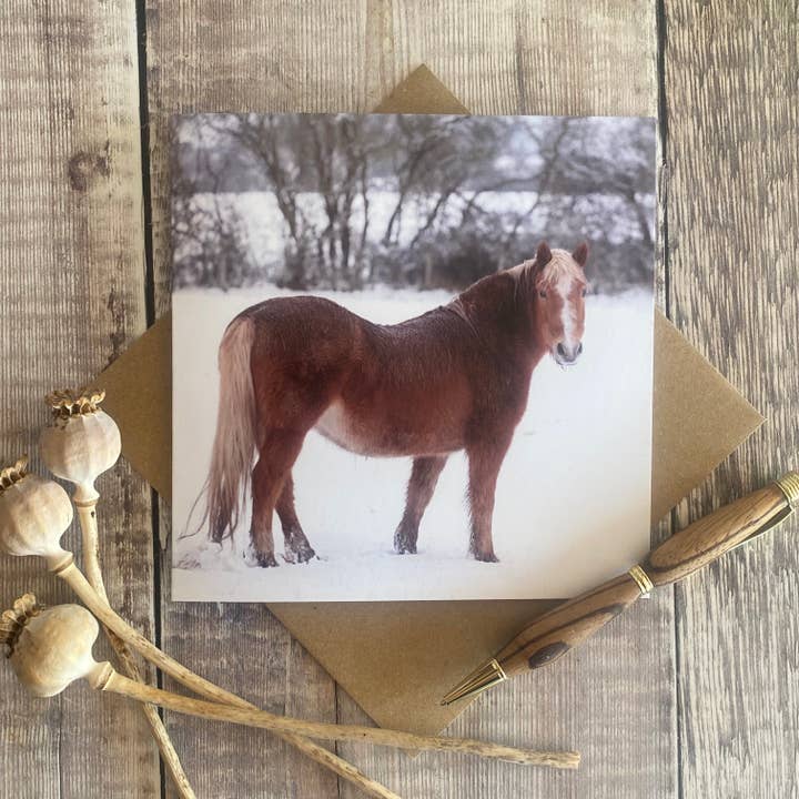 Horse in snow greeting card - card with winter scene for wholesale by Alex Sharp