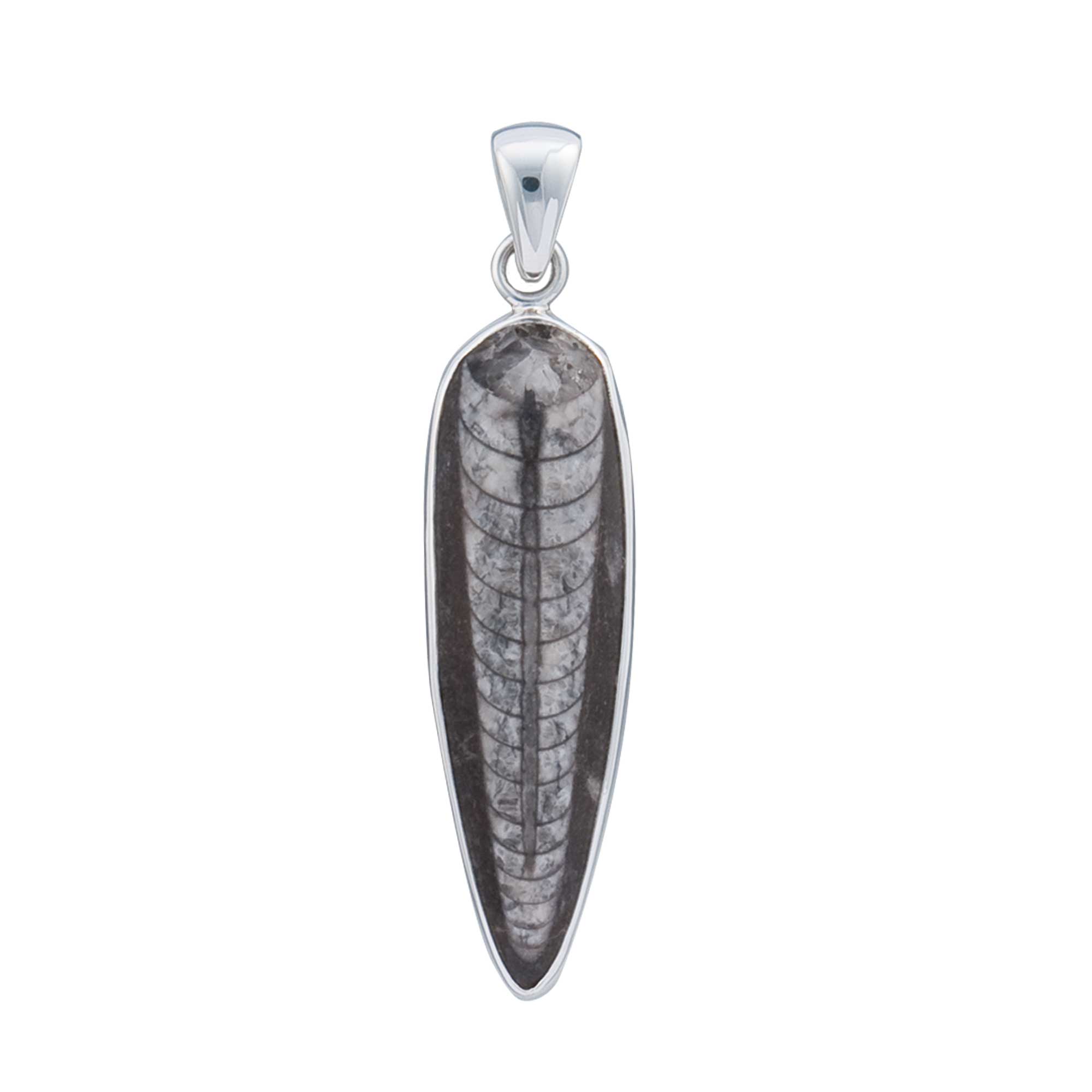 Charles Albert Inc - Wholesale Individual Charm/Pendant - Sterling Silver Orthoceras Pendant0