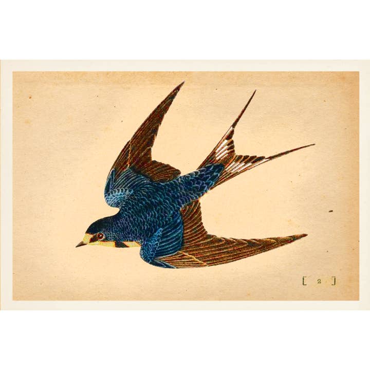 Cartolina Cards Inc. - Vendita all'ingrosso Cartoline - KP056 Rondine