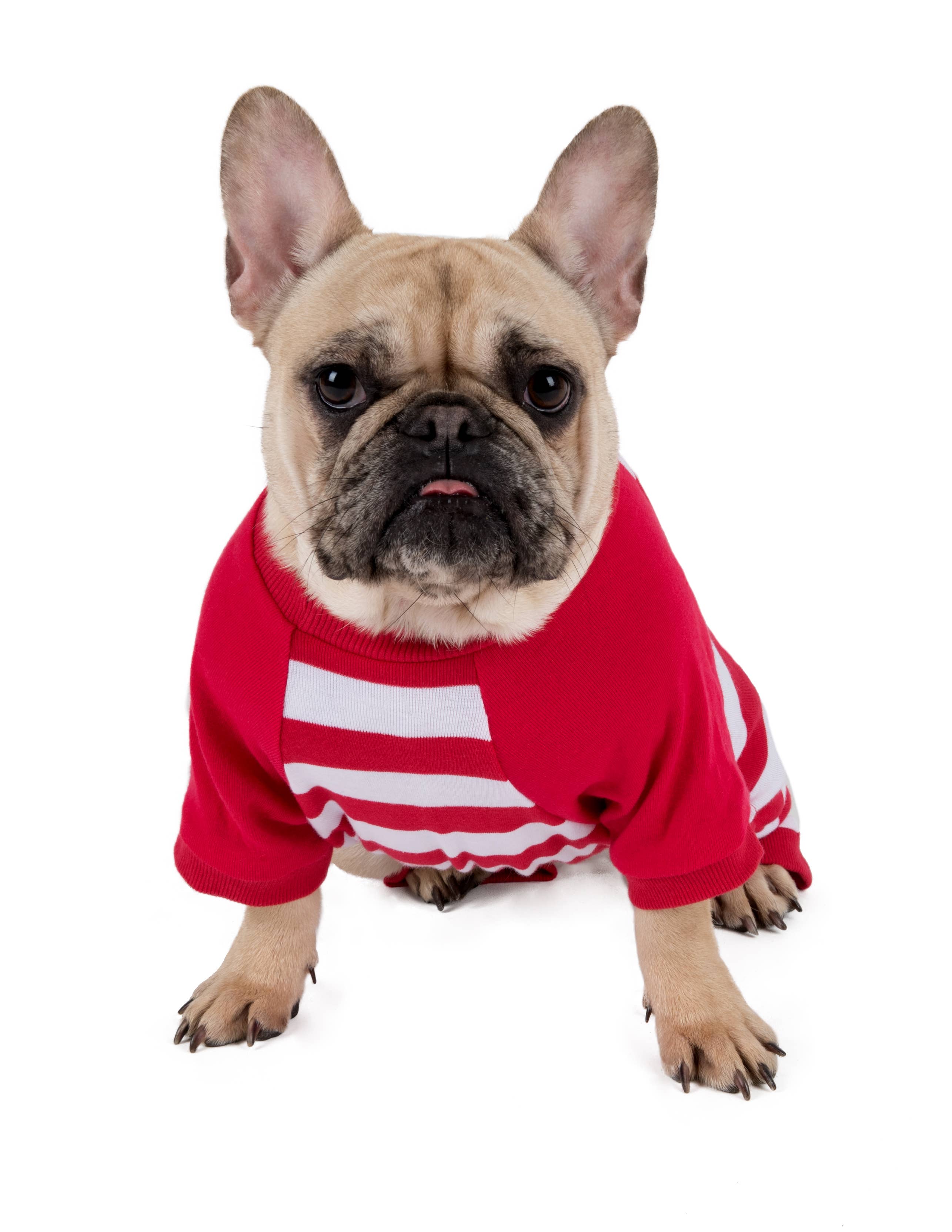 Leveret Pajamas - Wholesale Pet Pajamas - Dog - Dog Cotton Pajamas for Christmas25