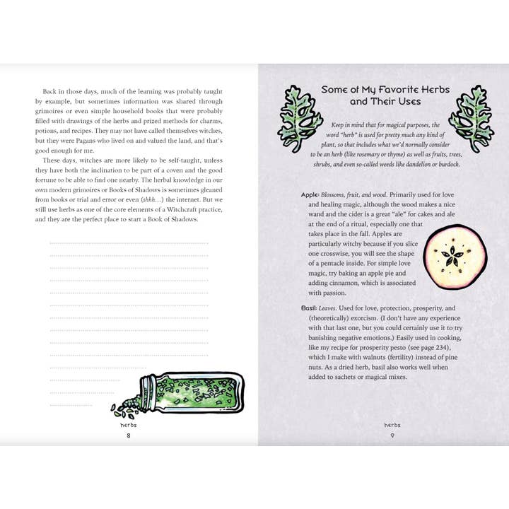 Cardshouse - Vendita all'ingrosso Libro su corpo, mente e spirito - Il libro delle ombre eclettico della strega - Llewellyn5