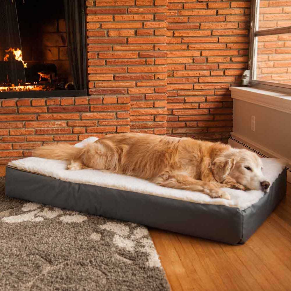 Snoozer Pet Products - Vendita all'ingrosso Letto - Cani - Letto ortopedico lounge super per cani con sherpa crema2