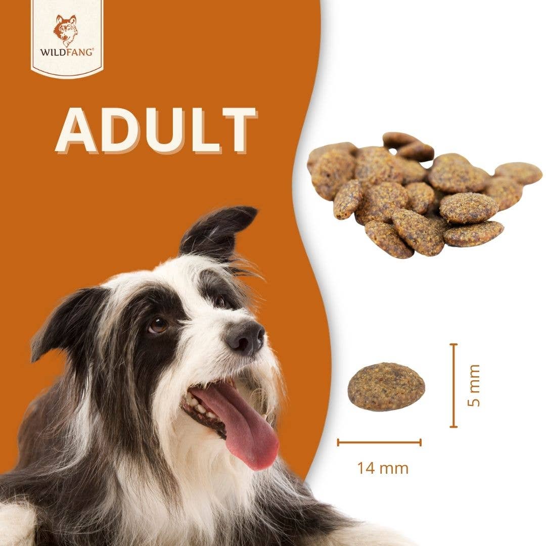 WILDFANG - Wholesale Pet food – Dog - Adult dry food with rabbits - grain-free5