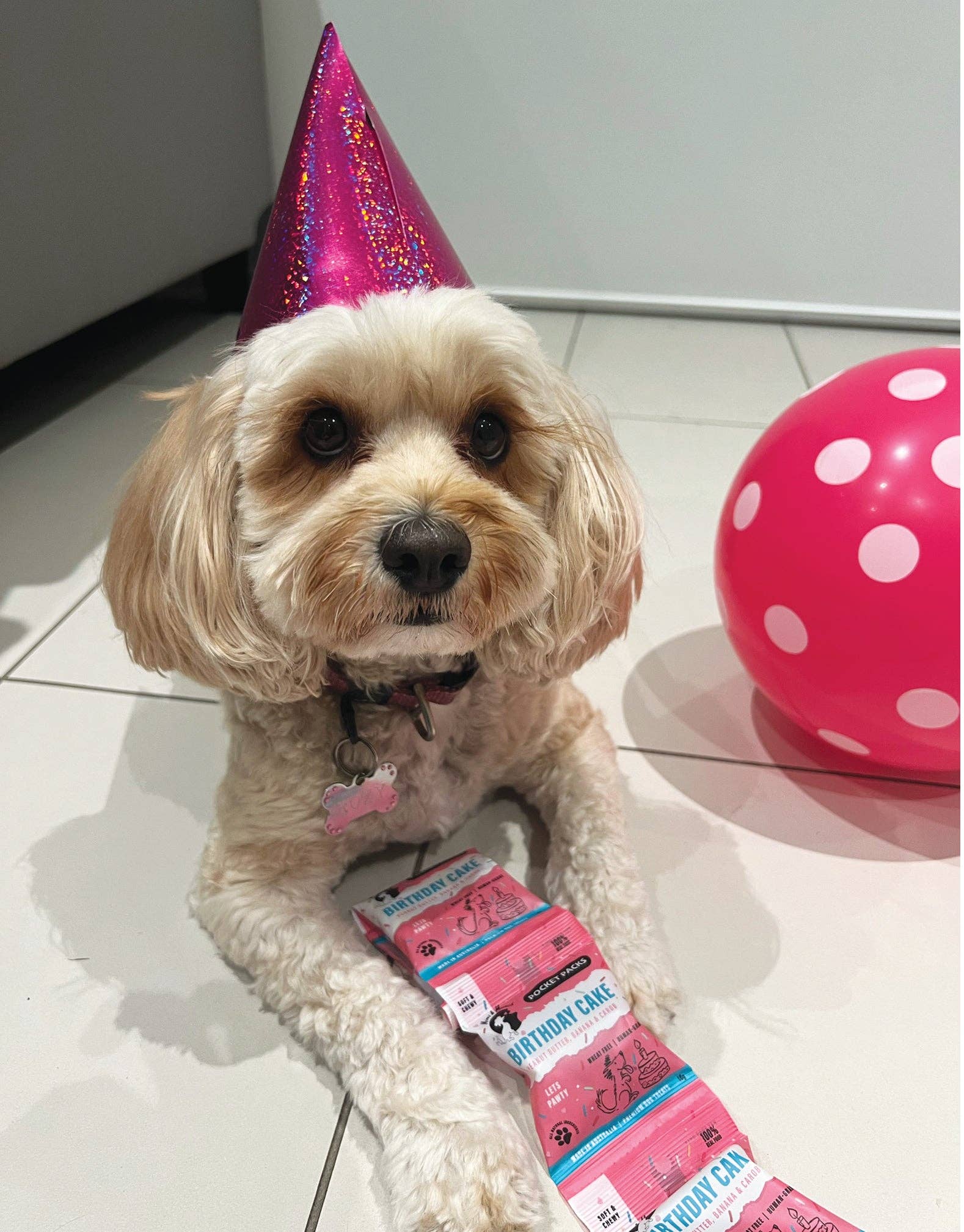 Mimi & Munch - Wholesale Pet Treats - Dog - Mimi & Munch Birthday Cake Soft & Chewy Dog Treats - Pocket Packs3