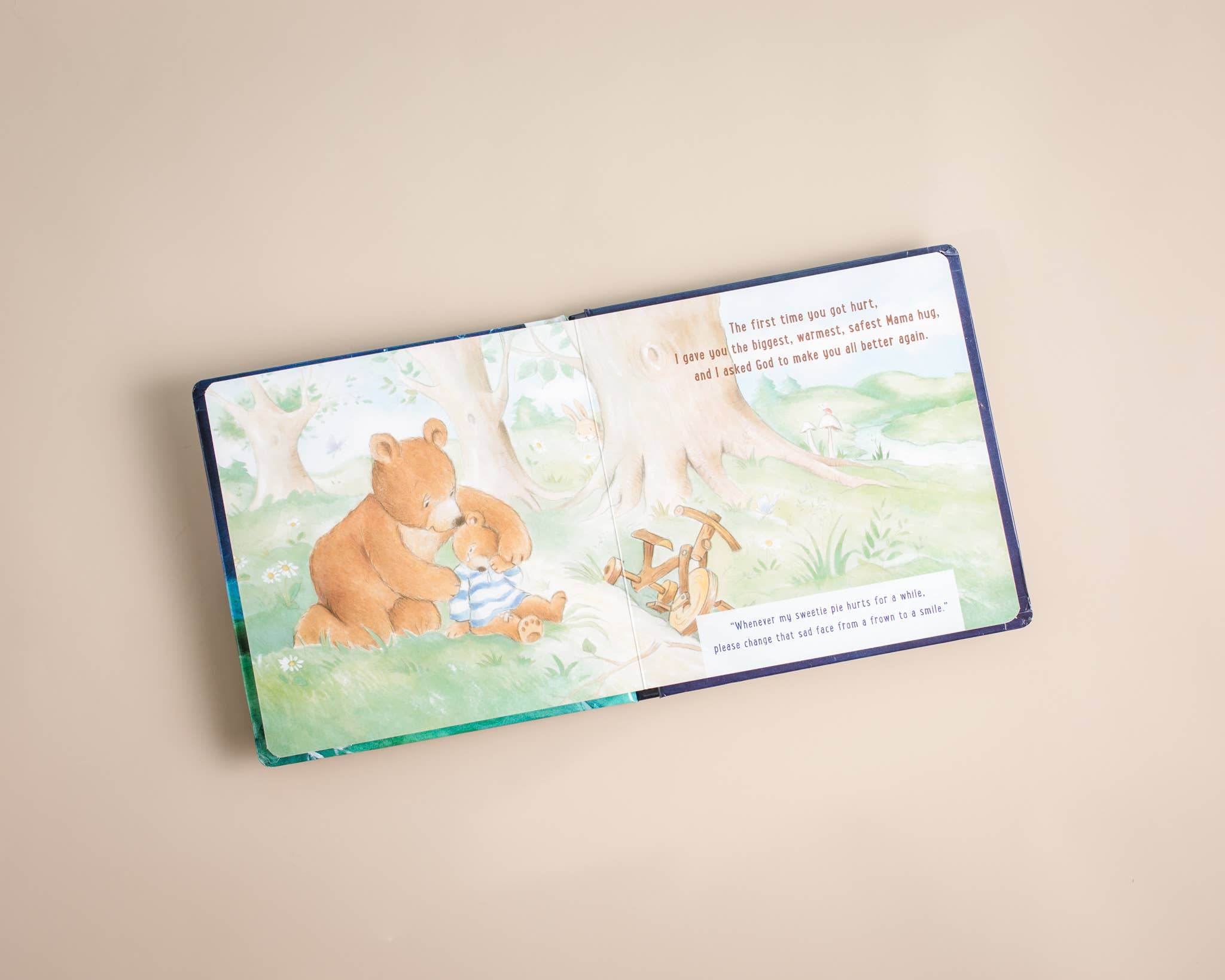 HarperCollins Christian Publishing - Wholesale Baby & Toddler Book (0-2) - I Prayed For You1