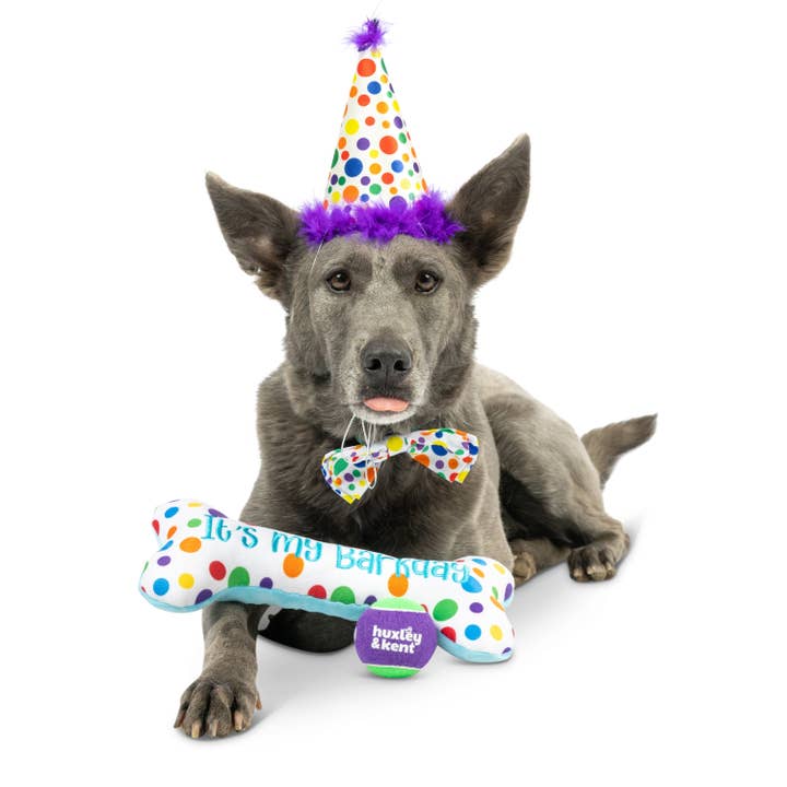 Huxley & Kent - Wholesale Pet plush toy – Dog - Happy Barkday Celebration Box1