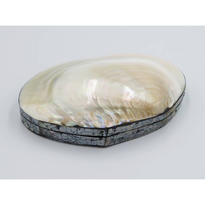 Smyckeskrin Kupang med natur- och skalskimmer från kusten för wholesale av Product Import Holland