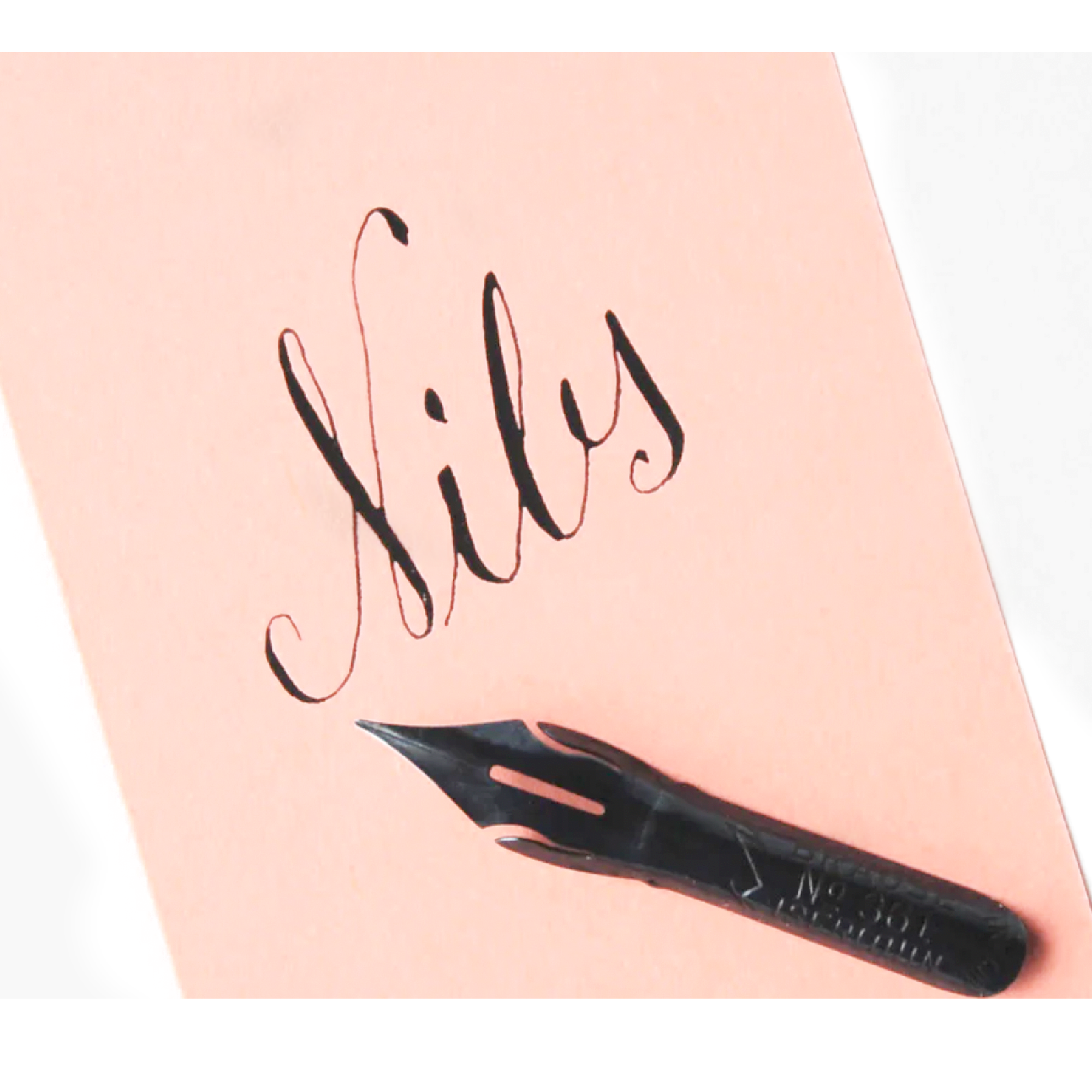 Exaclair - Wholesale Pen - Brause Calligraphy Nib #361 Steno/Blue Pumpkin - Box of 32