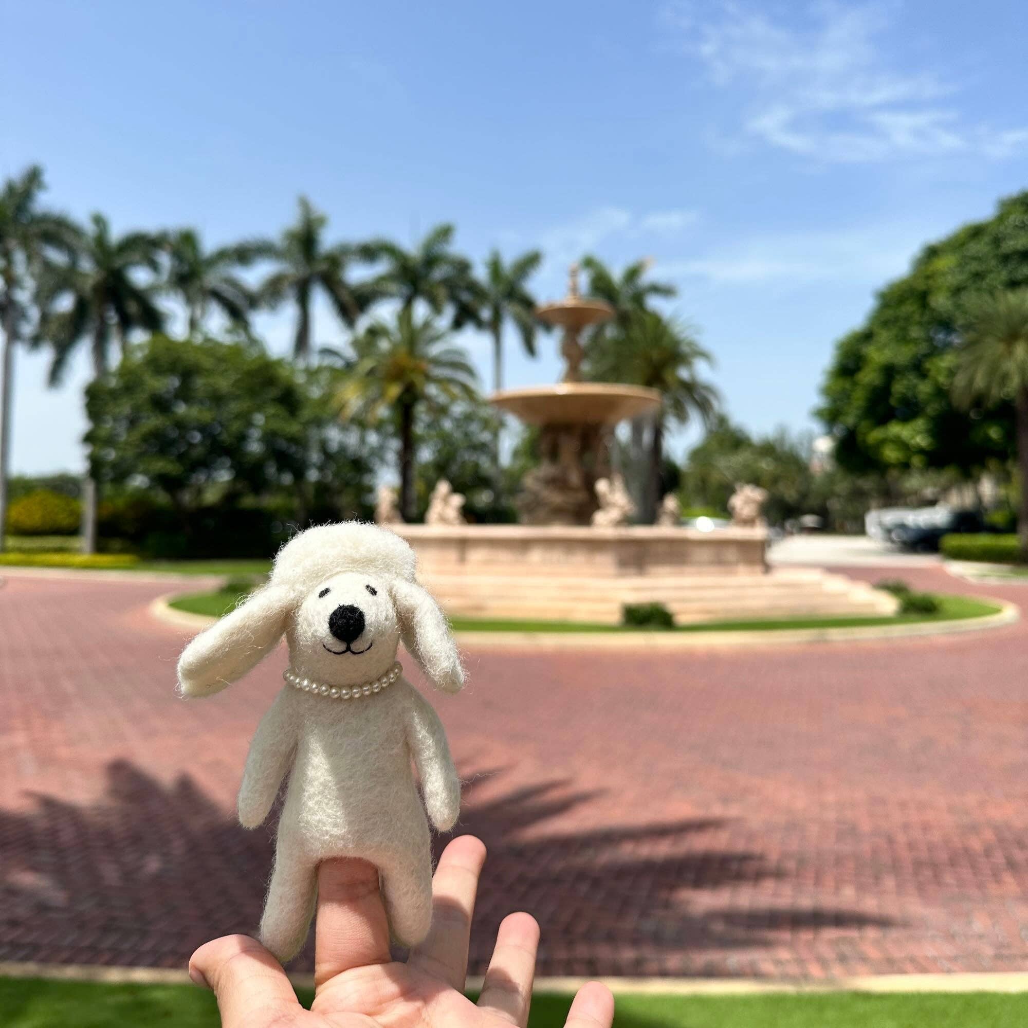 Ganapati - Vente Marionnette à doigt – enfant et bébé - Marionnette à doigts pour chien caniche3