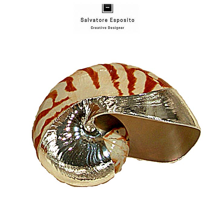 Kod.83508 Nautilus naturlig i silver för wholesale av I Gioielli del Mare di Salvatore Esposito