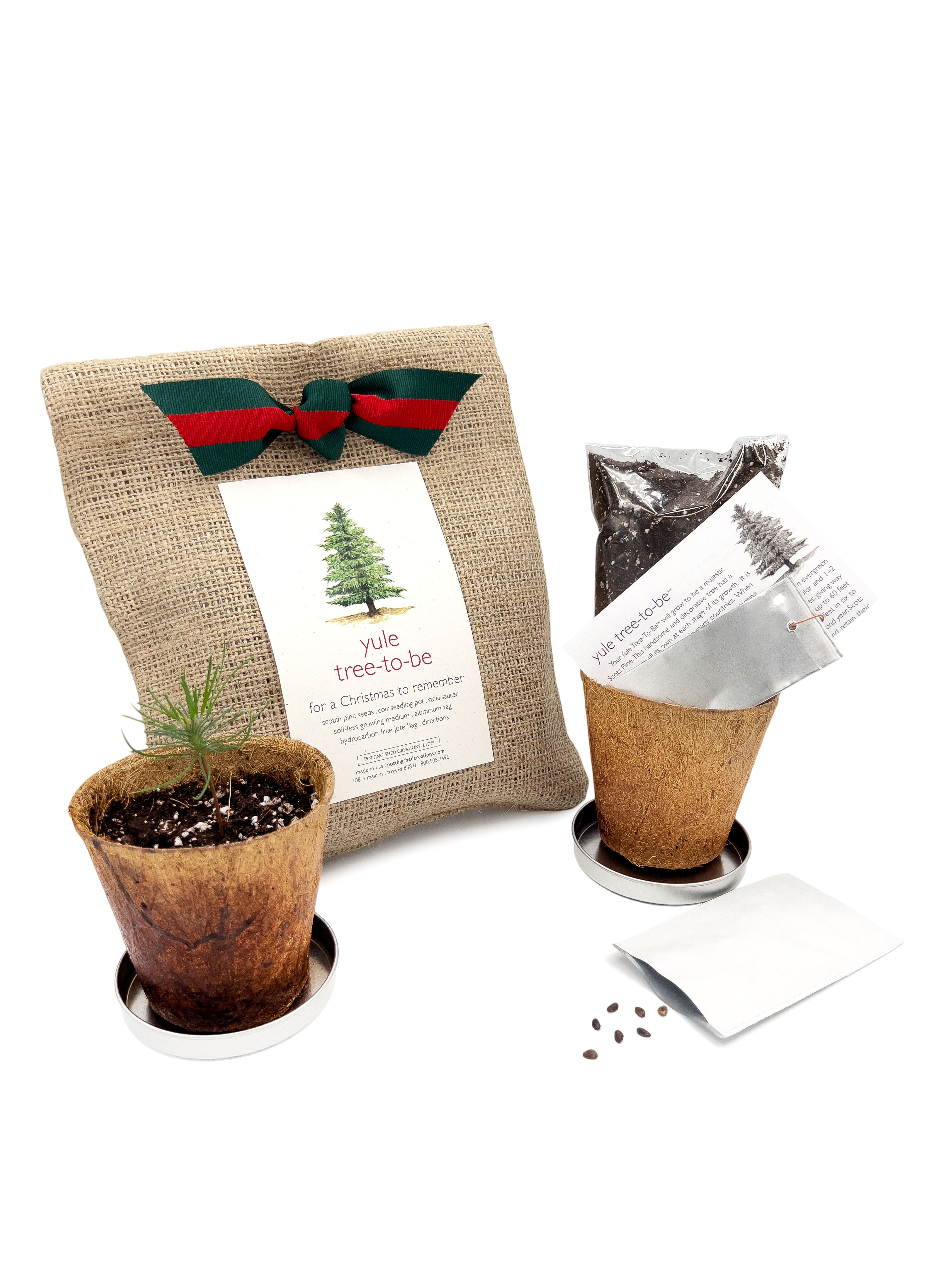 Potting Shed Creations, Ltd. - Wholesale Christmas Decoration - Christmas Tree to Be | Hostess gift | Holiday Parties3