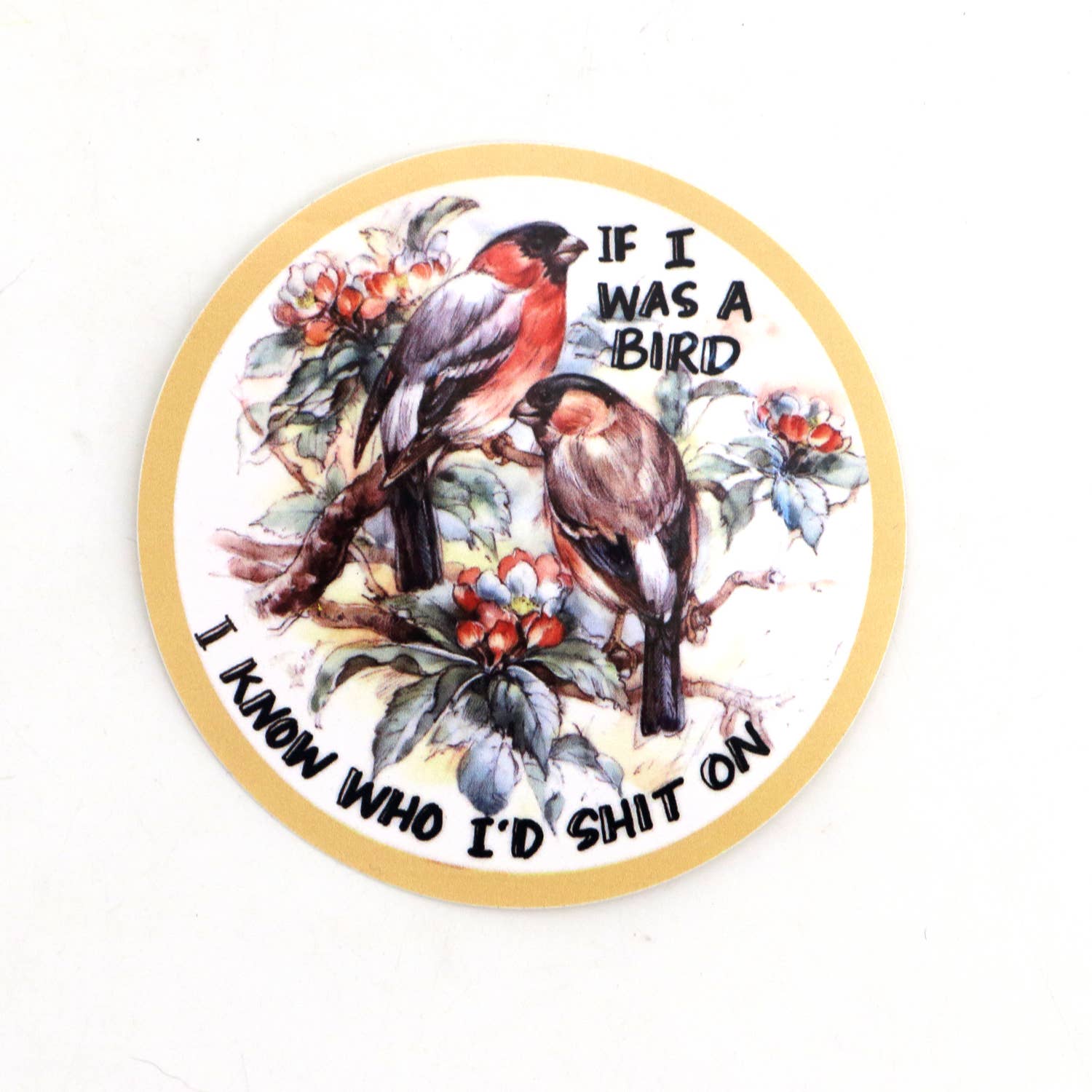 Lenny Mud - Wholesale Sticker - If I Was a Bird sticker, 3 x 3 sticker1