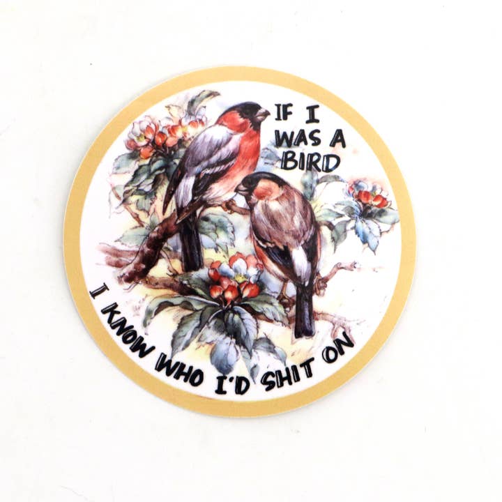 Lenny Mud - Wholesale Sticker - If I Was a Bird sticker, 3 x 3 sticker1