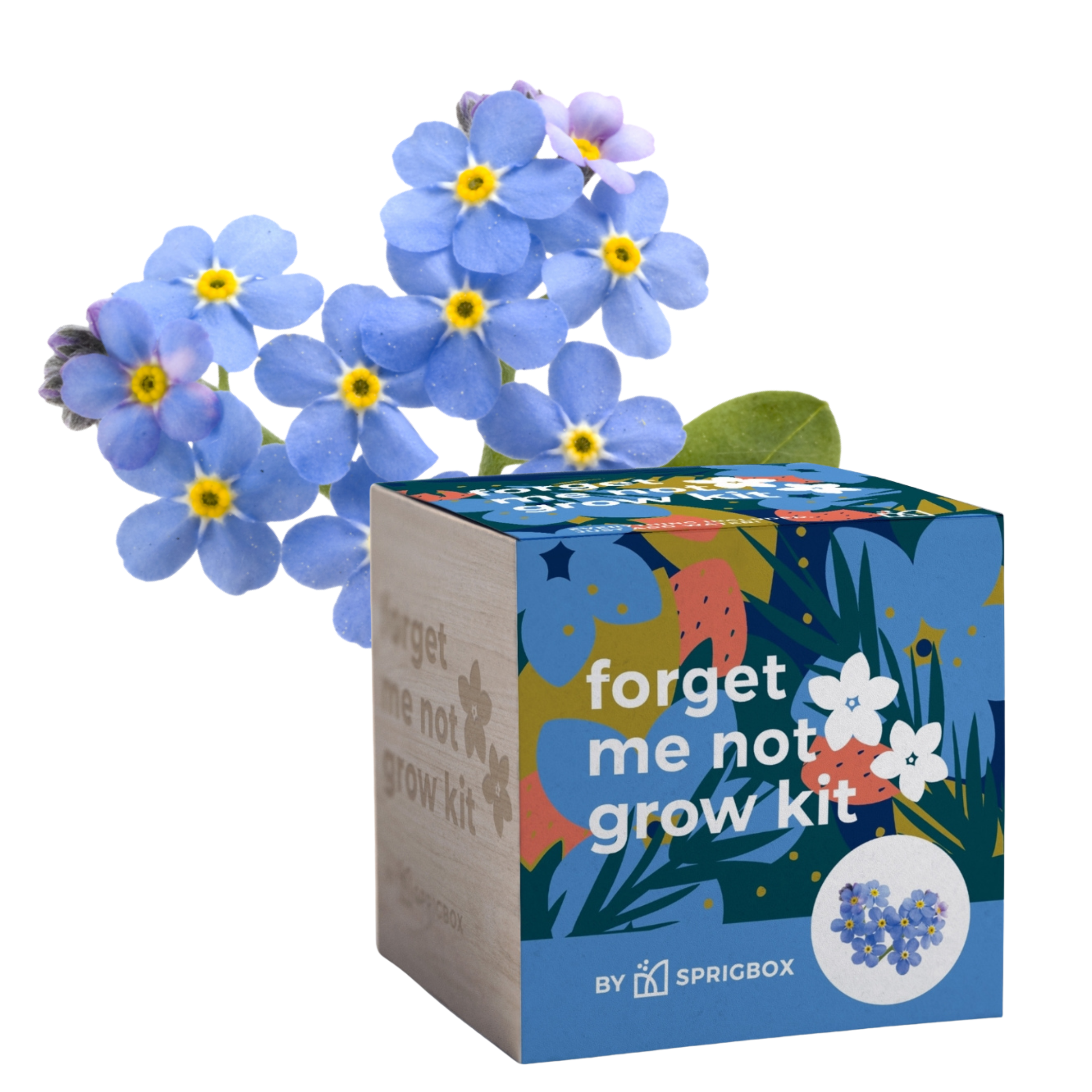 Sprigbox - Wholesale Planter Box - Grow Kits | Bestseller POS Display | Grow Plants from Seed4