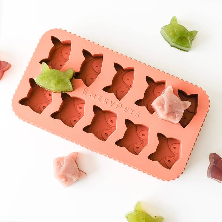 EmeryPets - Vente Bacs/moules à glaçons - Moule à friandises Renard + Raton laveur