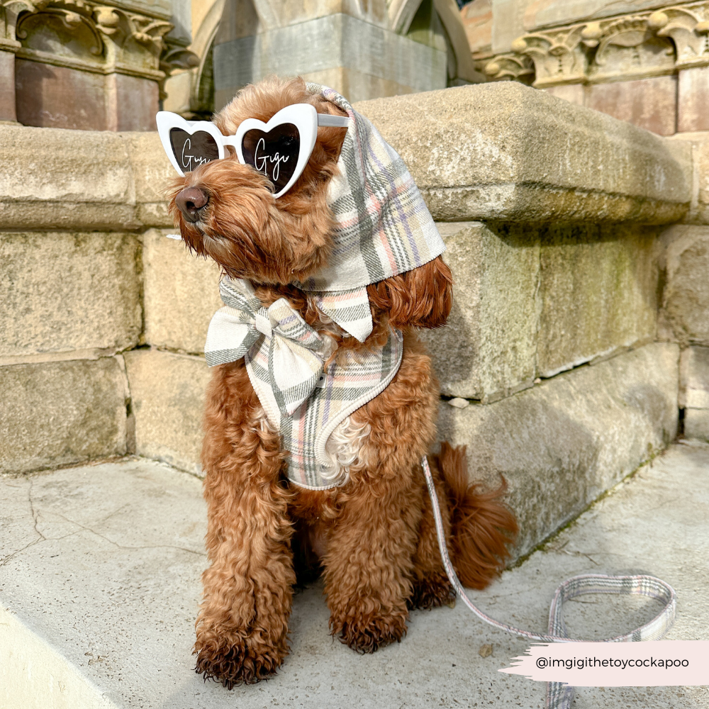Cocopup London – wholesale Pet bandana – Dog – Spring Plaid Bandana3