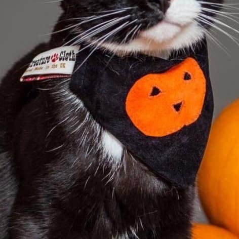 Bandana per gatti con zucca di Halloween per la vendita all'ingrosso da parte di Creature Clothes