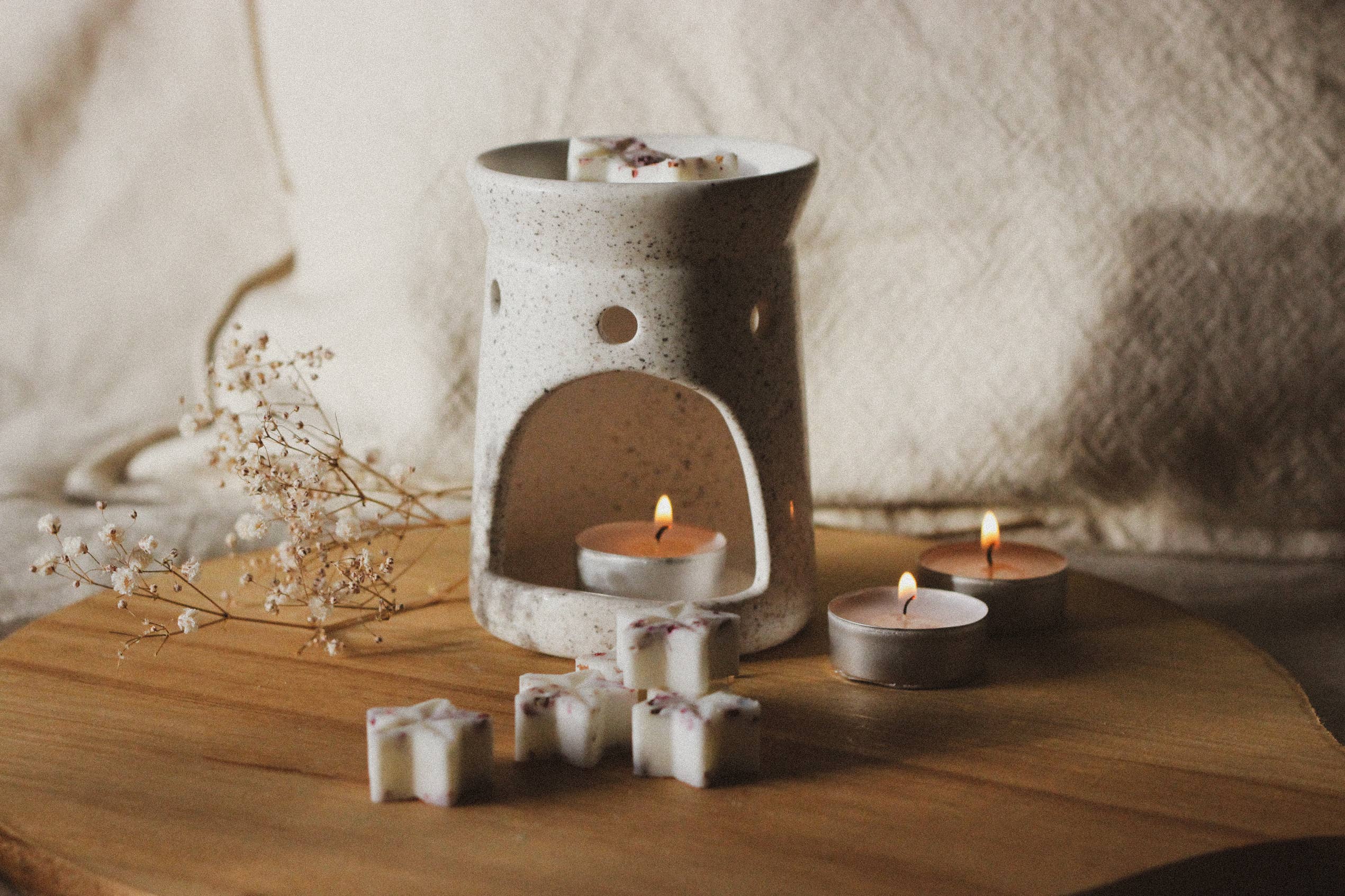 Bobella Co. - Vente Fondants - Cire de soja à la figue noire et au vétiver1