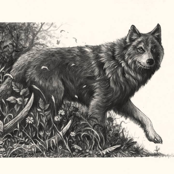 En gång fanns det vargar för wholesale av Jenn Joslin Art & Nature