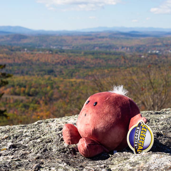 Celestial Buddies - Wholesale Stuffed/Plush Toy - Kids & Baby - Mars Buddy Space Plush Planet4