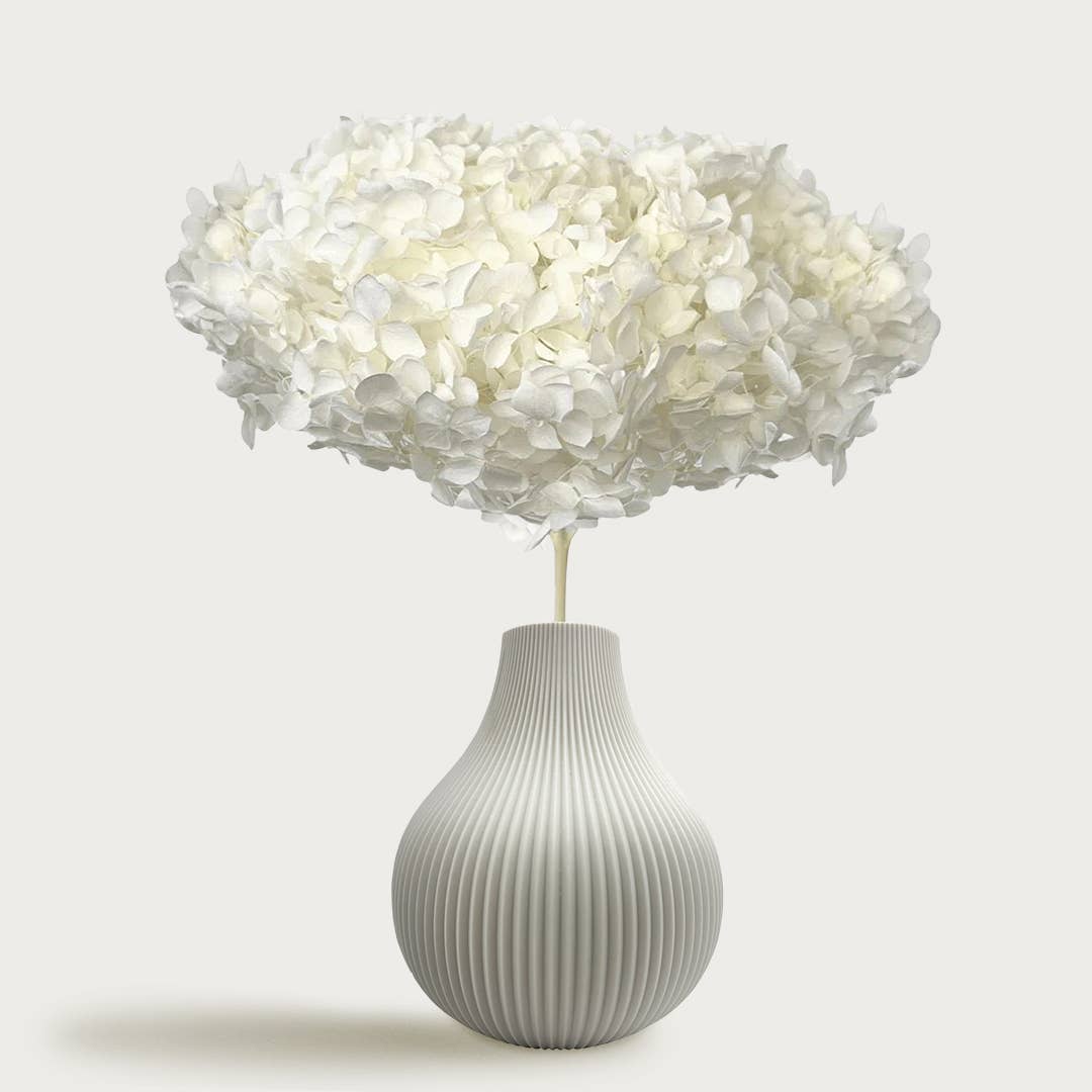 2626 Designs - Wholesale Dried/Pressed Flowers - Dried Preserved Hydrangea Flower 16" with Stem4