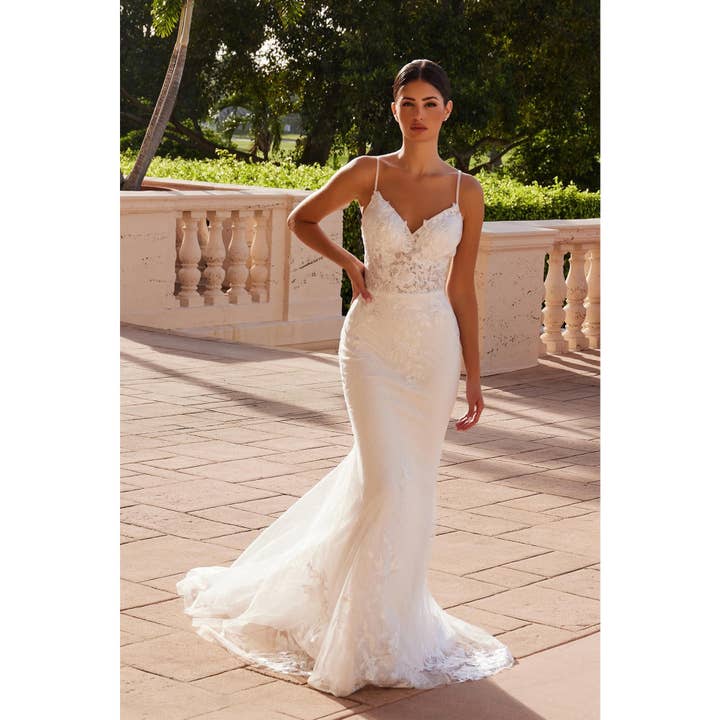 Abito da Sposa Attillato con Scollo a V e Applicazioni-JW239 per la vendita all'ingrosso da parte di Noxanabel