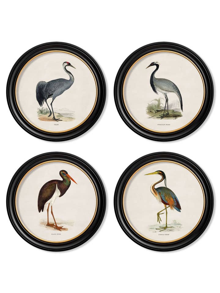 c.1870 Wading Birds in Round Frames for wholesale by T A Interiors Wall Art & Mirrors