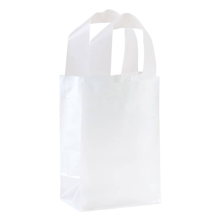 Store Supply Warehouse - Wholesale Gift Bag - Frosted Retail Shopping Bags