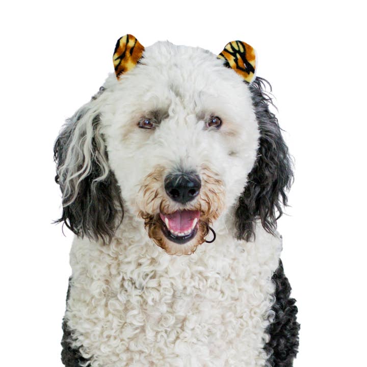 Midlee Designs - Wholesale Pet Costume - Dog - Midlee Tiger Dog Costume Headband (Large)1