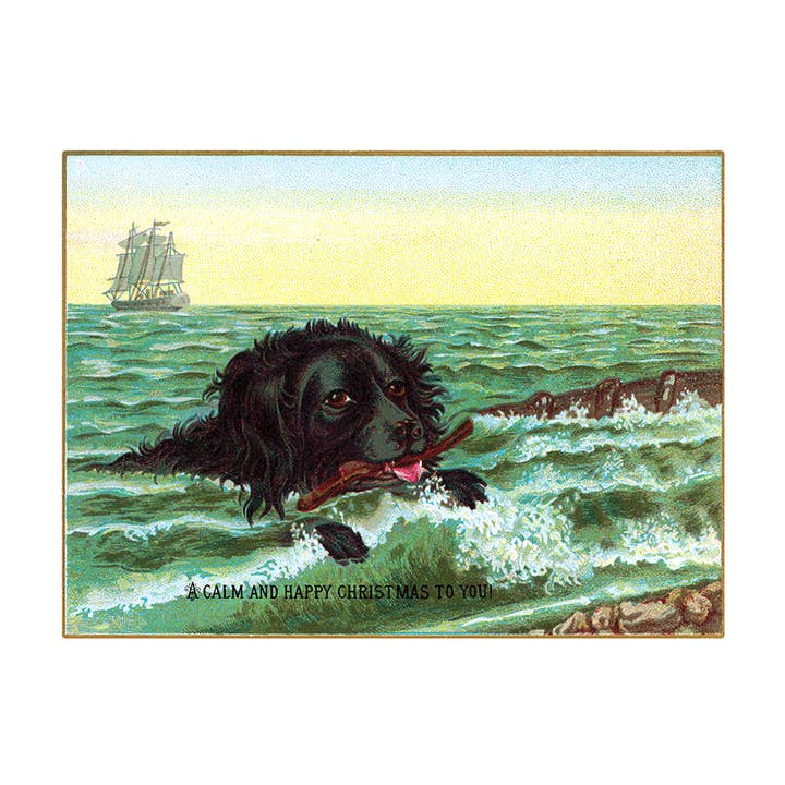 Laughing Elephant - Wholesale Postcard - We Wish You a Crazy Christmas Postcard Book - Postcards18