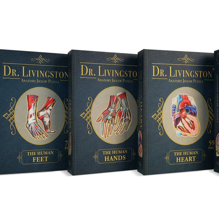 Dr. Livingston’s Anatomy Jigsaw Puzzle: Human Organs Bundle for wholesale by Genius Games