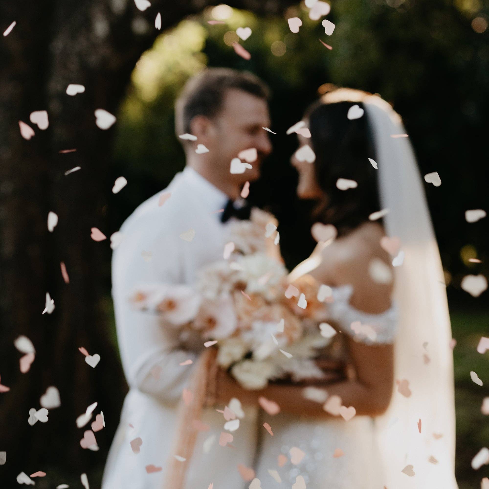 The Whole Bride - Wholesale Confetti - Biodegradable Confetti - Heart (Bag Only)21