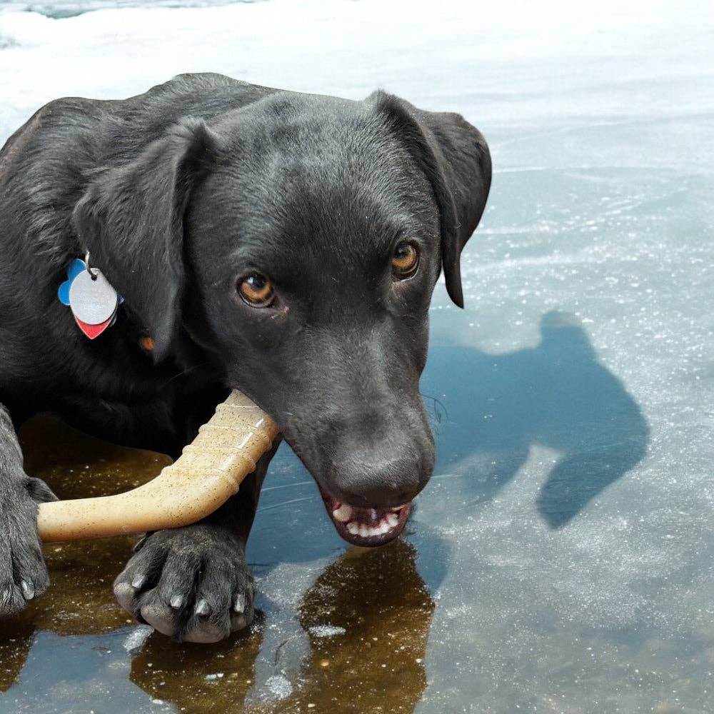 SodaPup Dog Toys - Wholesale Pet Chew Toy - Dog - Hockey Stick Durable Nylon Chew Toy  - Medium5