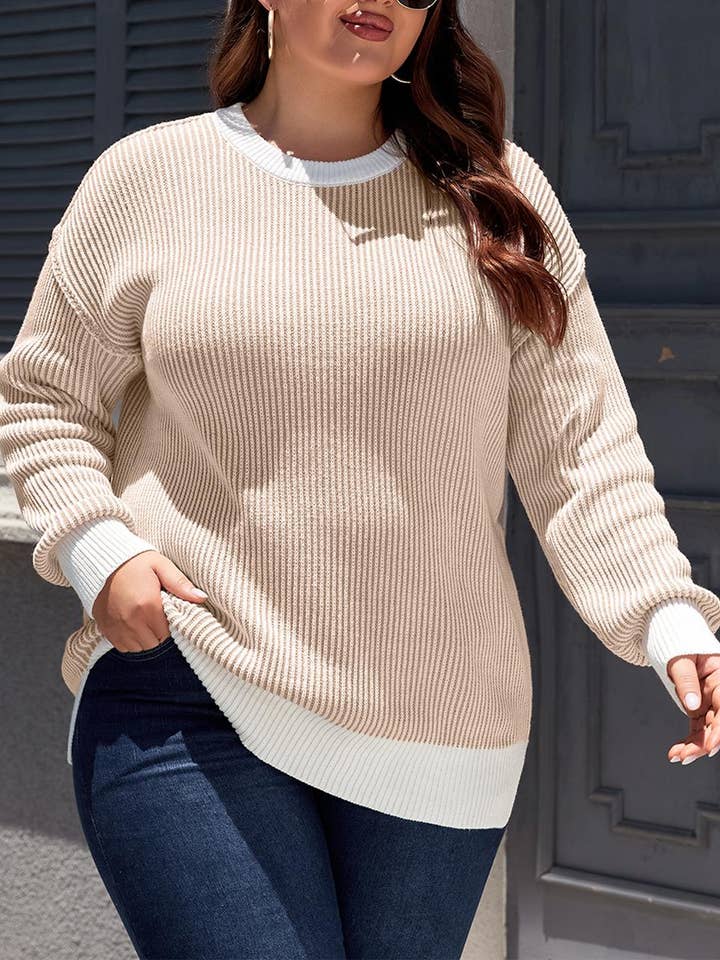 Plus Size Contrast Trim Crew Neck Knit Drop Shoulder Sweater for wholesale by FULL TIME PURCHASE