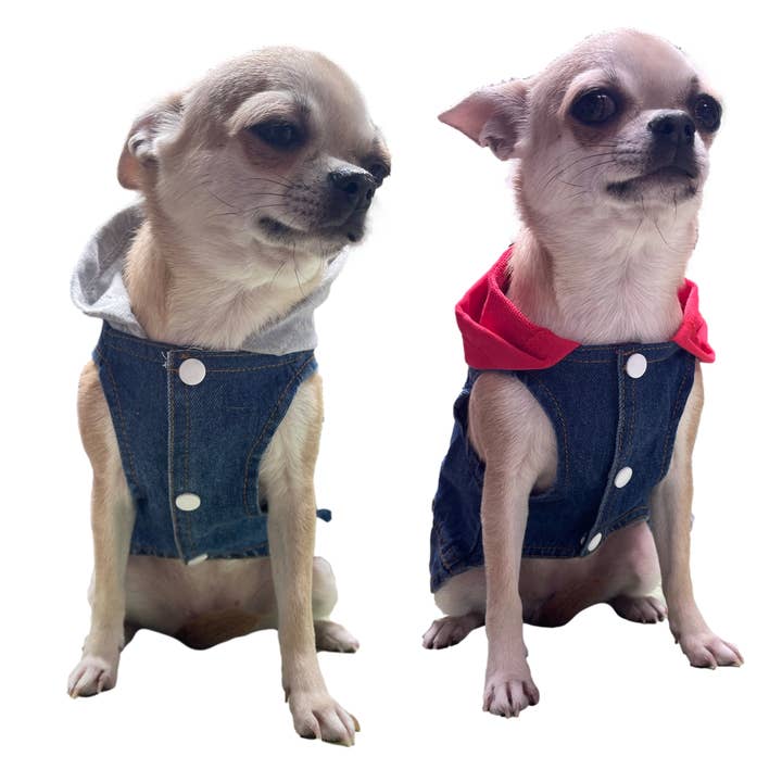 Vestes pour chiens en denim avec capuche pour la vente par Sassy Dog Fashions