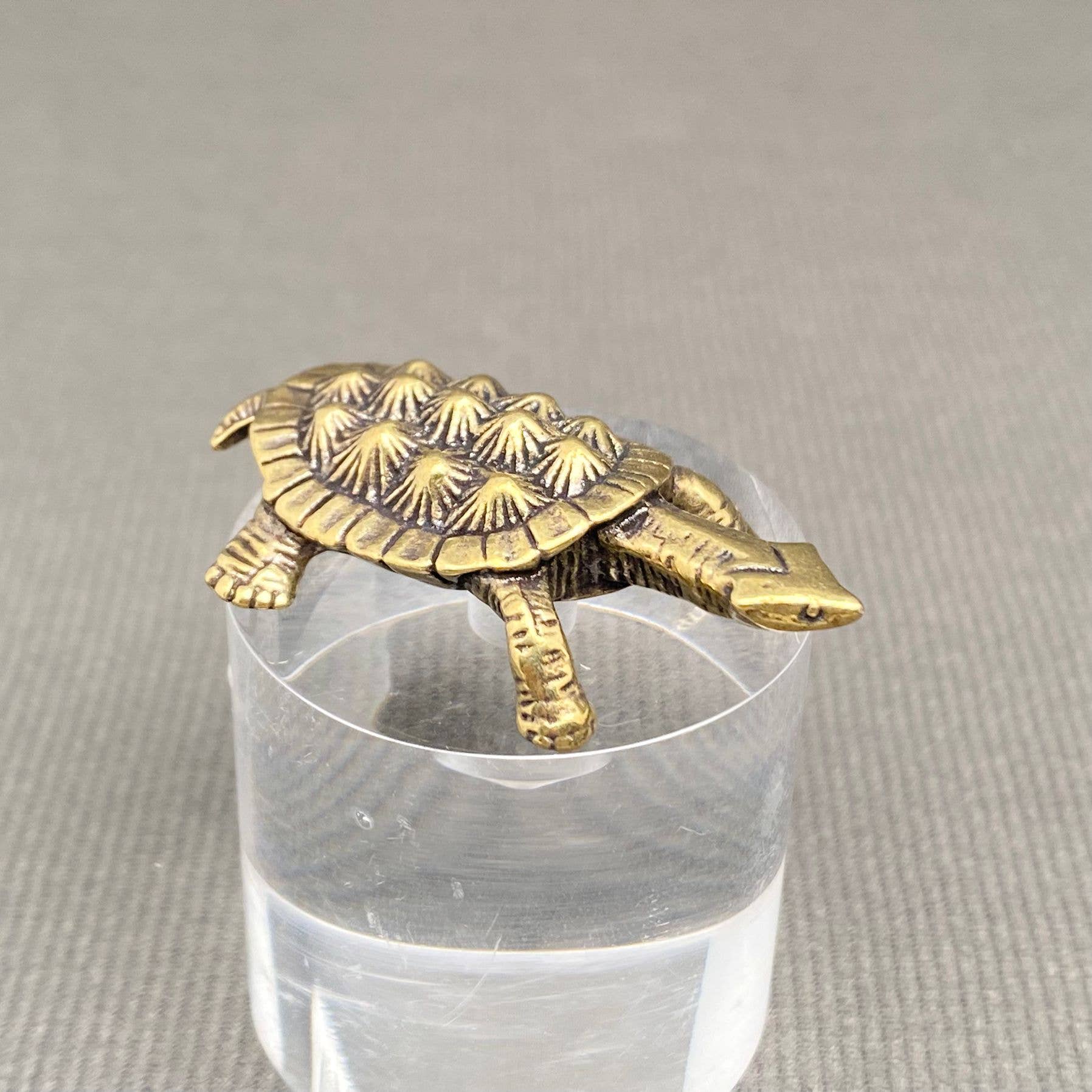 Mio Queena - Wholesale Decorative Tabletop Object - Brass Turtle Desktop Ornaments Decoration
