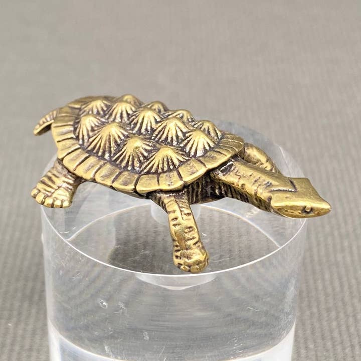 Mio Queena - Wholesale Decorative Tabletop Object - Brass Turtle Desktop Ornaments Decoration0