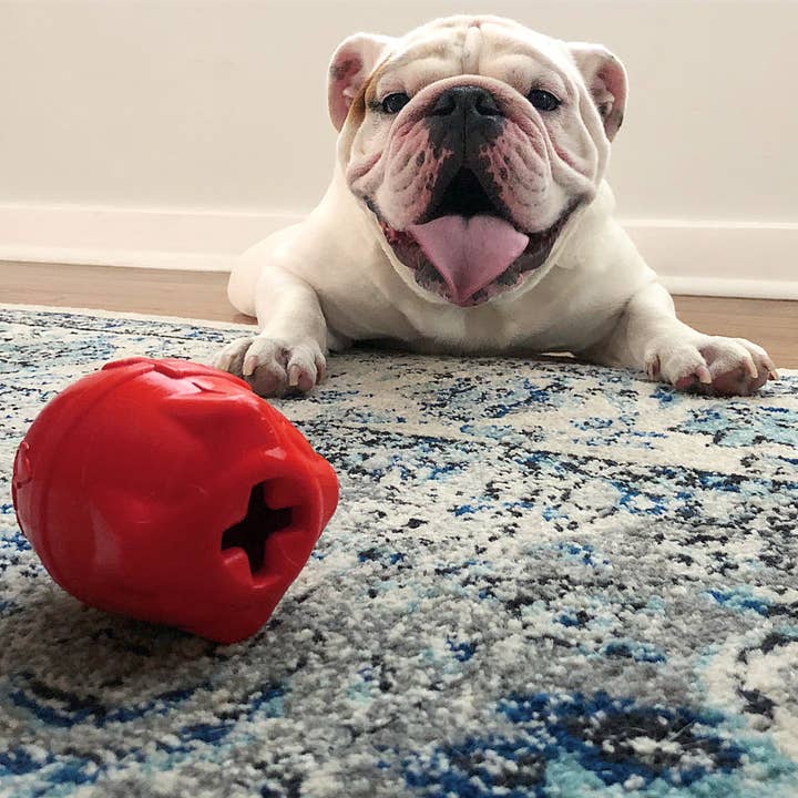 SodaPup Dog Toys - Wholesale Pet Chew Toy - Dog - Spotnik Rocketman - Chew Toy - Treat Dispenser - Large - Red