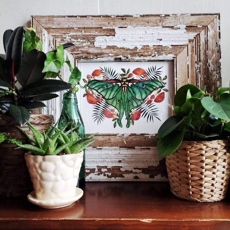 Candace Fincher – Großhandel Kunstdruck – Amanita Muscaria Magic Mushroom Kunstdruck//Luna Moth2