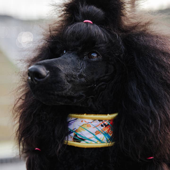 Wagging Tail - Wholesale Pet Collar - Dog - Collar IZAMAL3