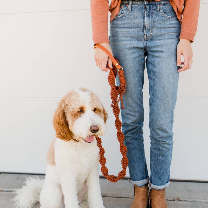 EMBER & IVORY - Wholesale Pet Leash - Dog - Macrame Dog Leash w/ Leather Handle - Rust Rope5