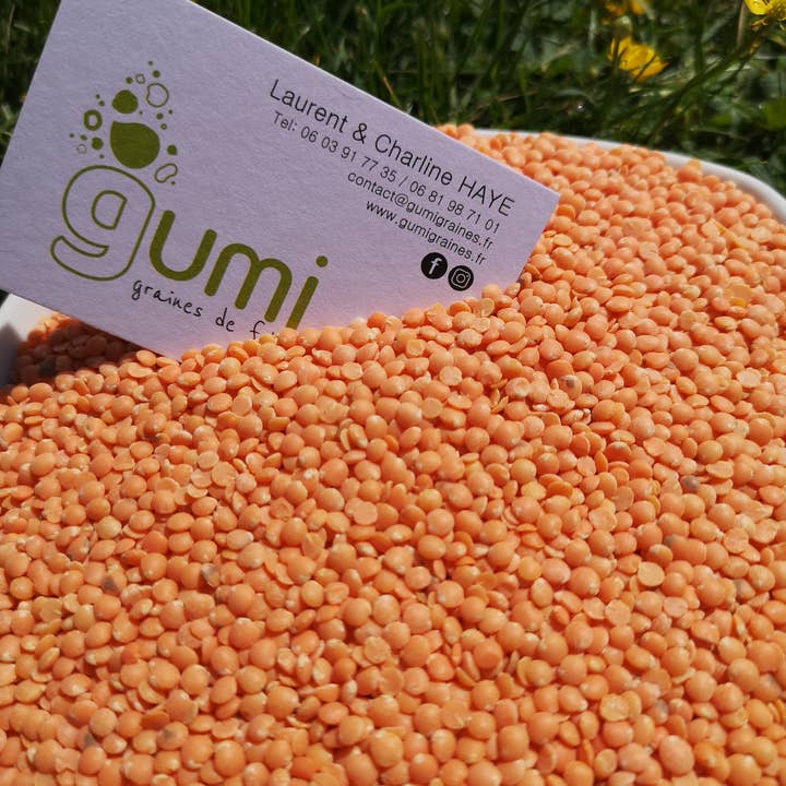 GUMI - Wholesale Beans - KRAFT CORAL LENTILS 500 G