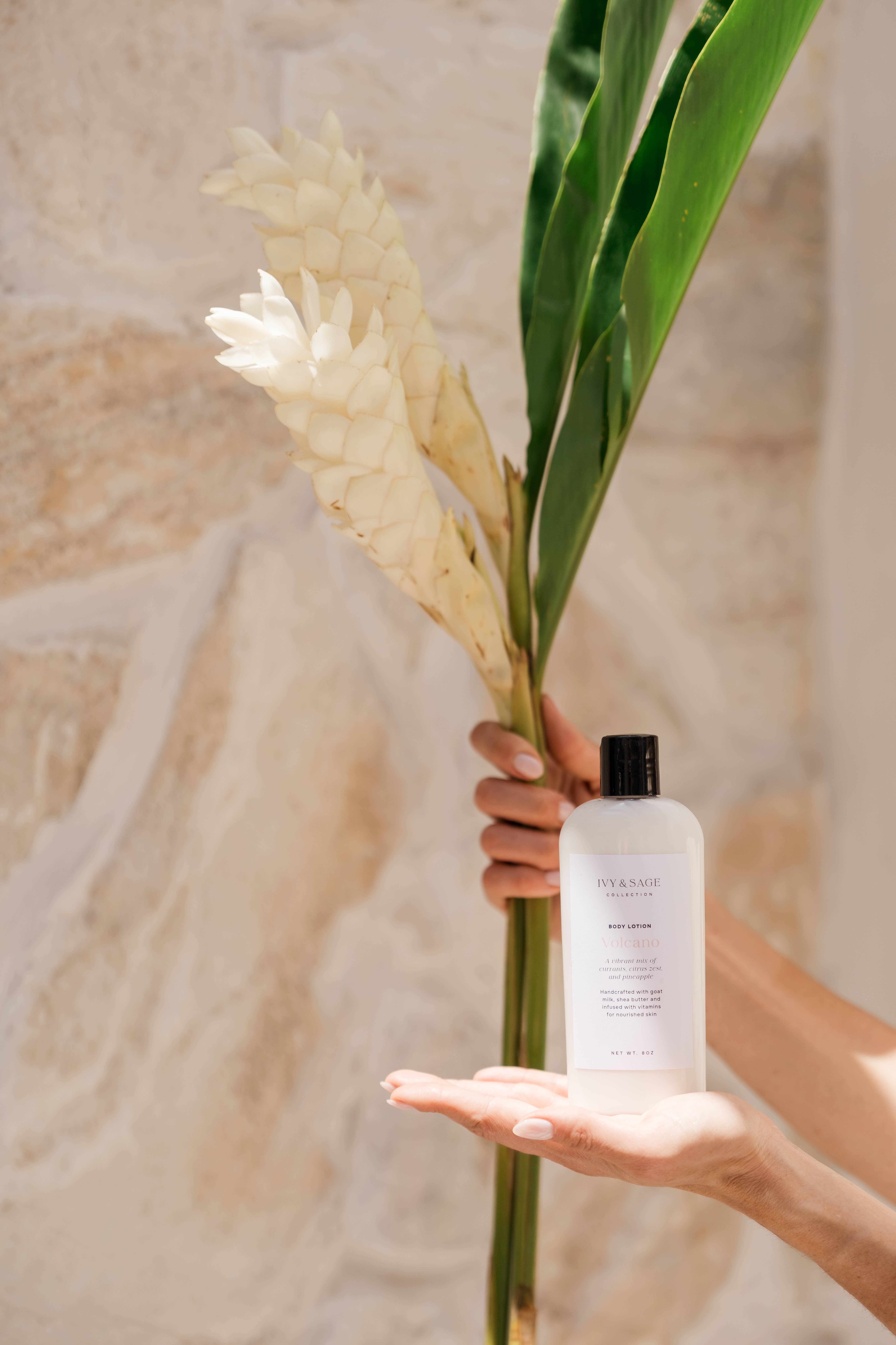 Ivy & Sage Collection - Wholesale Body Cream/Lotion - Body Lotion – Lavender & Chamomile, Hydrating & Floral9