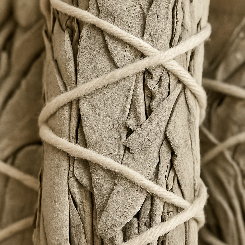 VIE – Engroshandel Røgstift – Slimline røgelsesstav af hvid salvie, 10 cm3