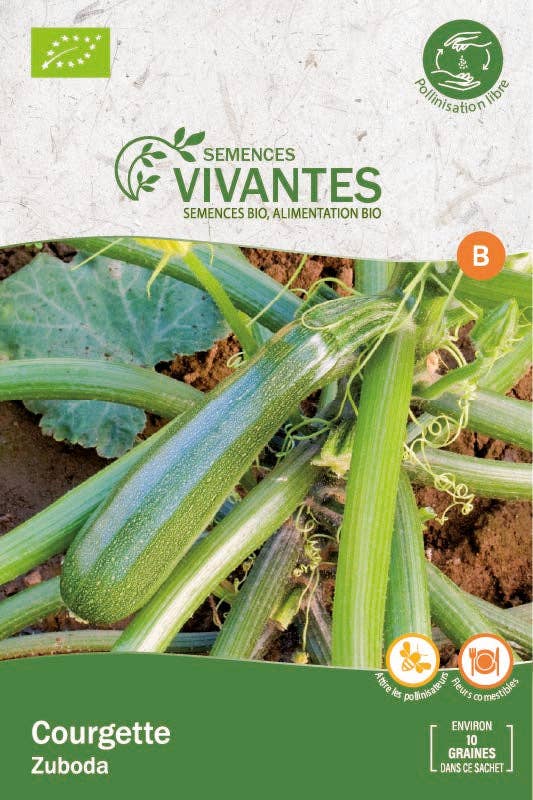 Semences Vivantes - Vente Graines de plantes - Courgette zuboda bio - Sachet de 10 graines0