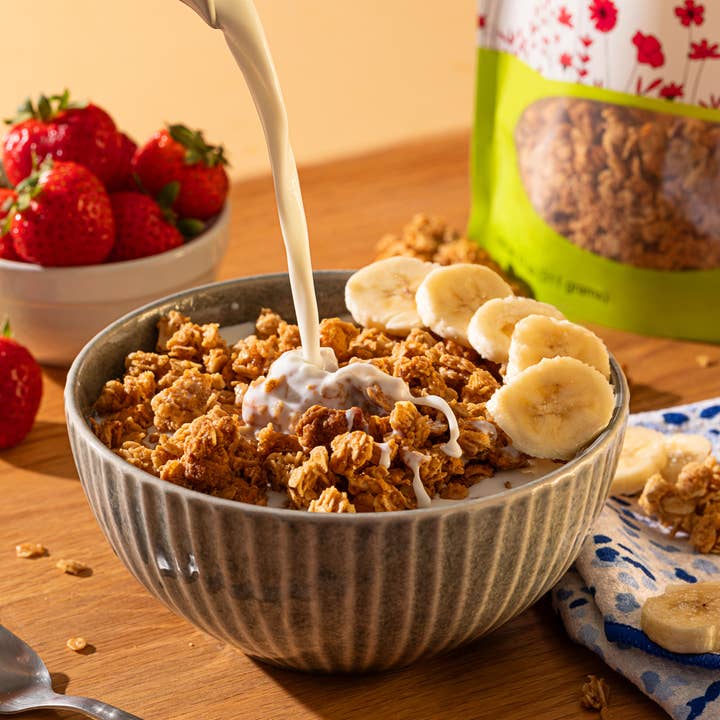 Jessica's Natural Foods - Wholesale Granola - Butterscotch Chip Granola - 11oz1